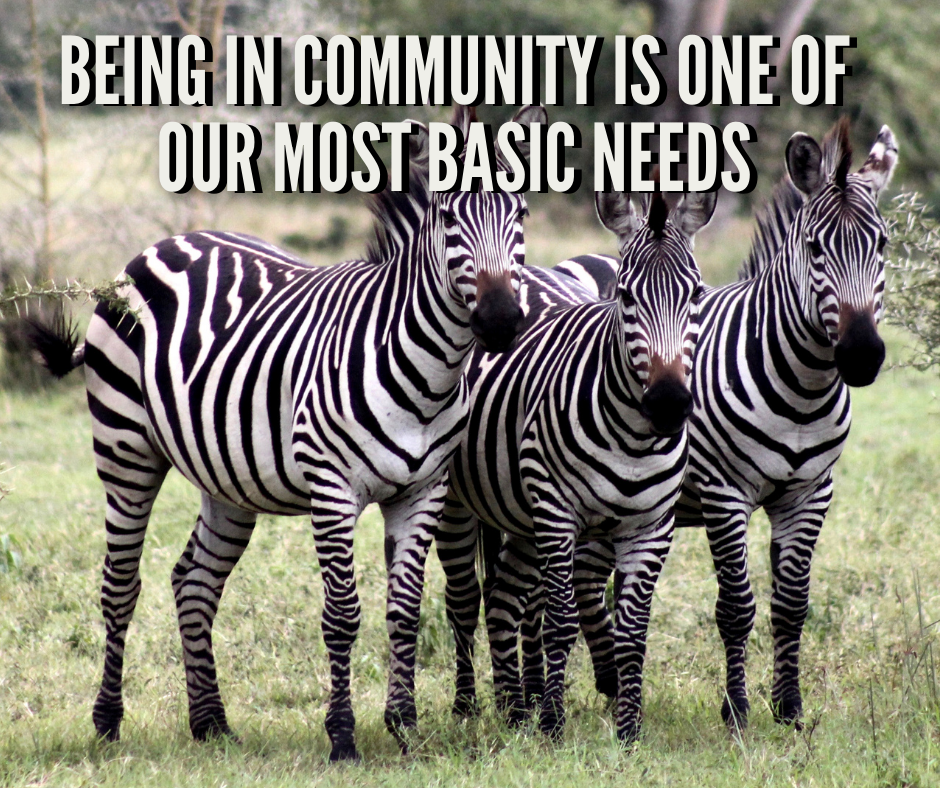 Being In Community Is One Of Our Most Basic Needs