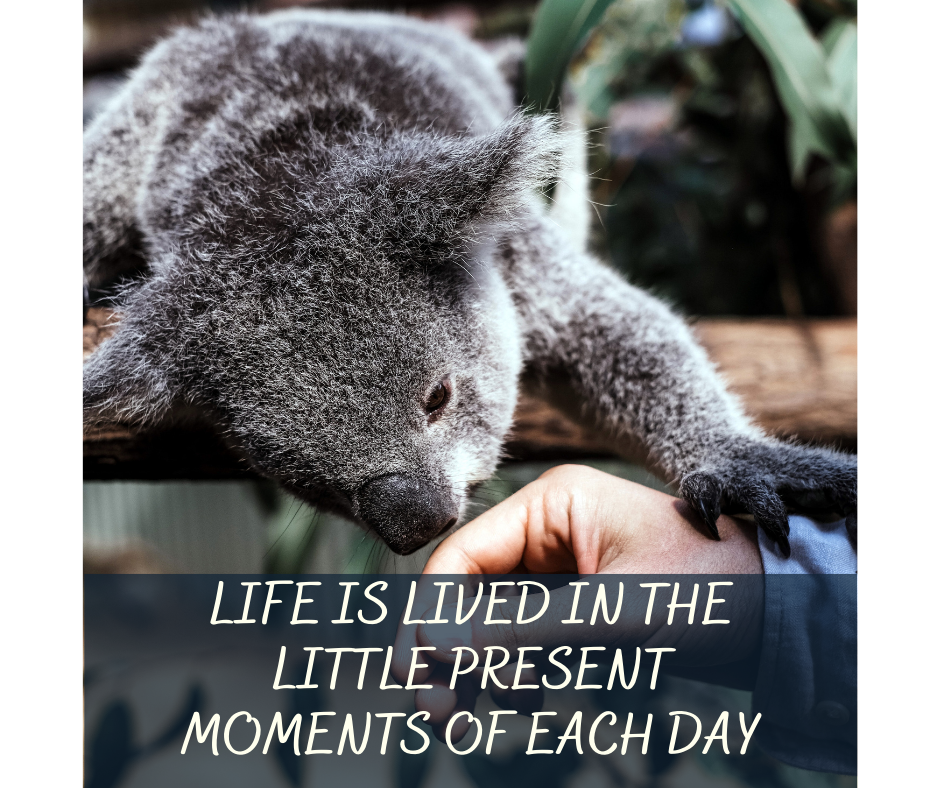 Life Is Lived In The Little Present Moments Of Each Day