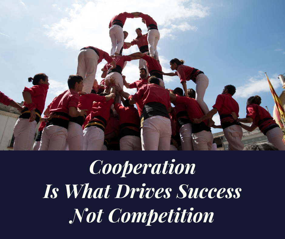 Cooperation Is What Drives Success Not Competition