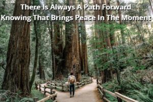 There Is Always A Path Forward And Knowing That Brings Peace In The Moment