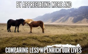 By Appreciating More And Comparing Less We Enrich Our Lives