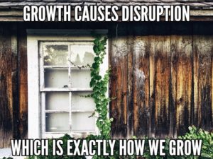 Growth Causes Disruption Which Is Exactly How We Grow