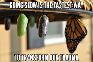 Going Slow Is The Fastest Way To Transform Our Trauma