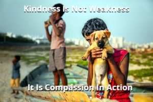 Kindness Is Not Weakness It Is Compassion In Action