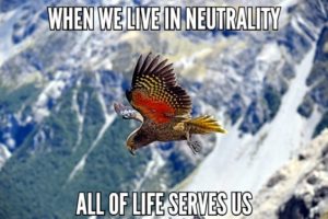 When We Live In Neutrality All Of Life Serves Us