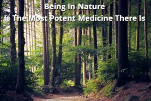 Being In Nature Is The Most Potent Medicine There Is