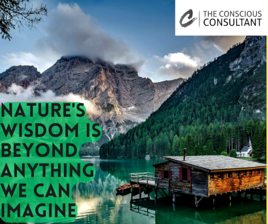 Nature’s Wisdom Is Beyond Anything We Can Imagine