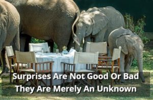 Surprises Are Not Good Or Bad They Are Merely An Unknown