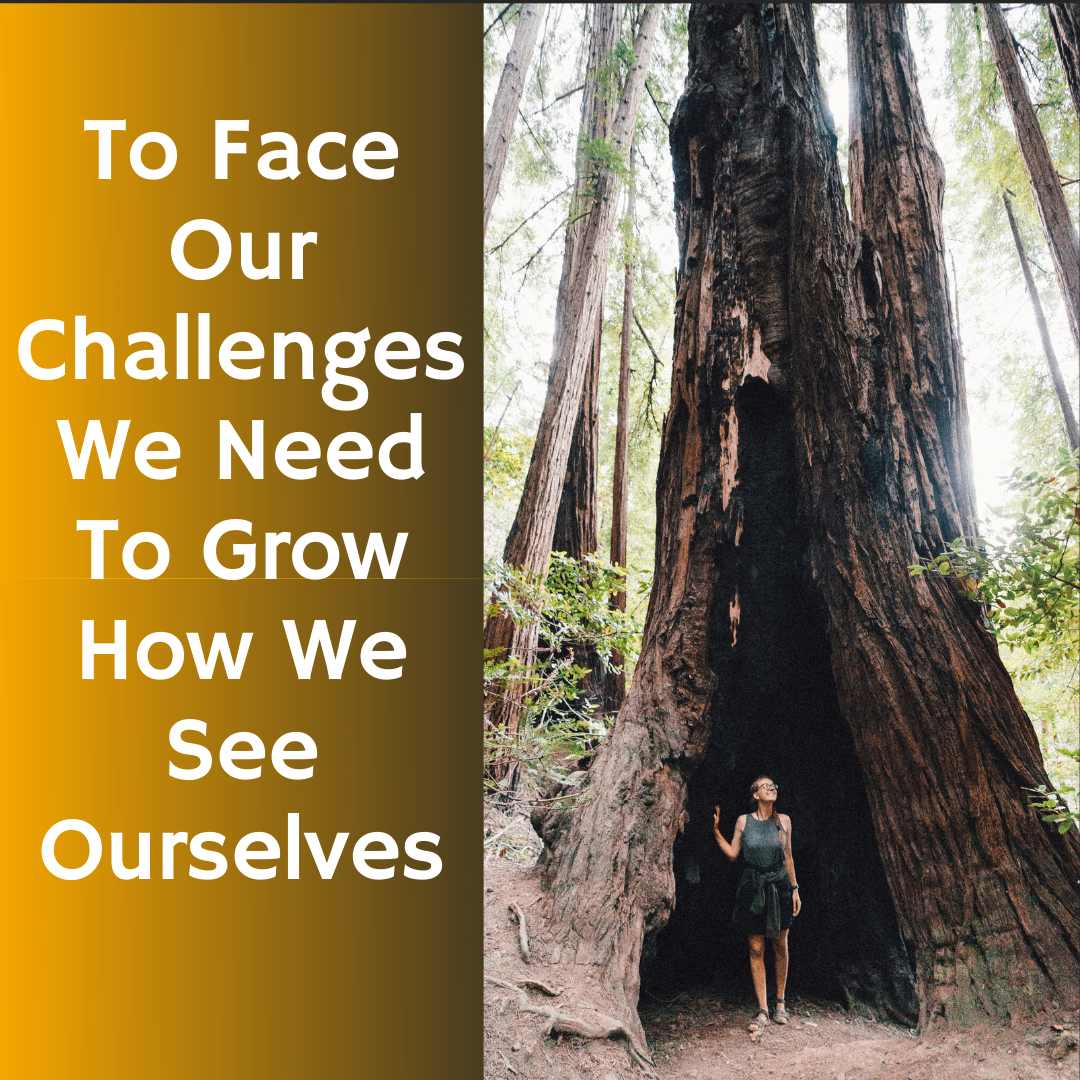 To Face Our Challenges We Need To Grow How We See Ourselves
